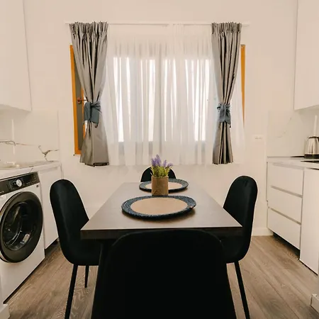 公寓 The Gallery Flat In The Core Of 地拉那